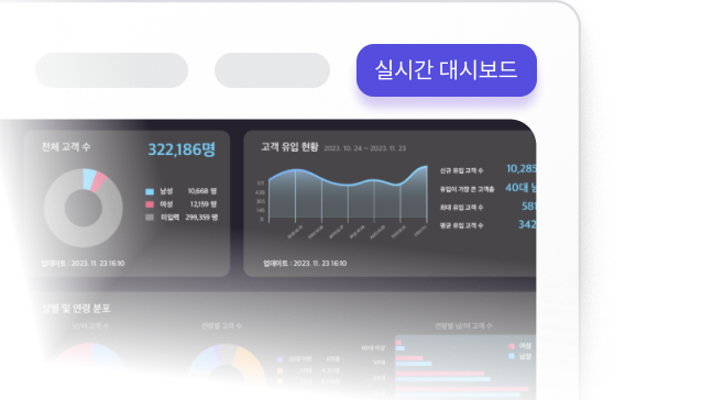분석결과 이미지